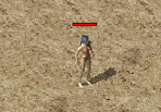 ScreenGif地雷.gif