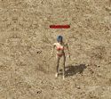 ScreenGif治愈术.gif