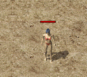 ScreenGif隐身.gif
