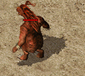 ScreenGif进阶.gif