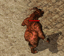 ScreenGif神兽天语.gif