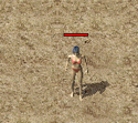 ScreenGif先天.gif