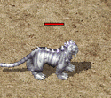 ScreenGif老虎.gif