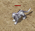 ScreenGif强虎.gif