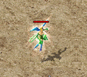 ScreenGif月灵.gif