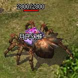 QQ截图20141103185211.png